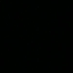 Meet your Posher, Connie